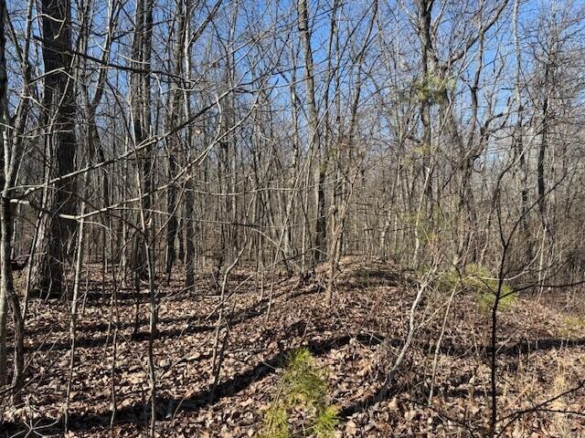 Land for sale in Tennessee