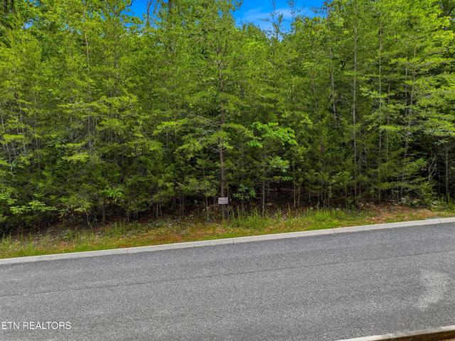 Land for sale in Tennessee