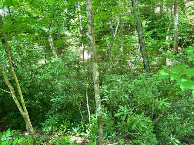 Land for sale in Tennessee
