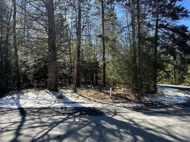 Land for sale in Cresco, Pennsylvania