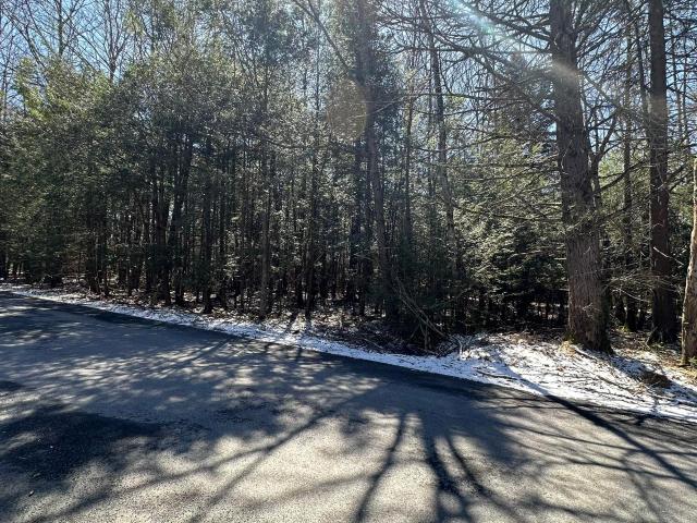 Land for sale in Pocono Summit Land for sale in Pocono Summit