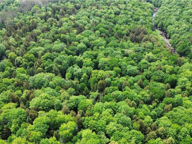 Land for sale in Cold Brook, New York