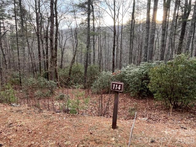 Land for sale in East Flat Rock, North Carolina