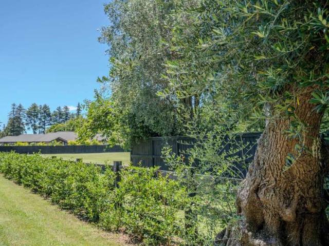 Land for sale in Karetu, Northland