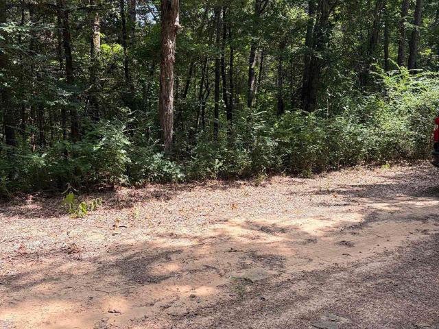 Land for sale in Ark