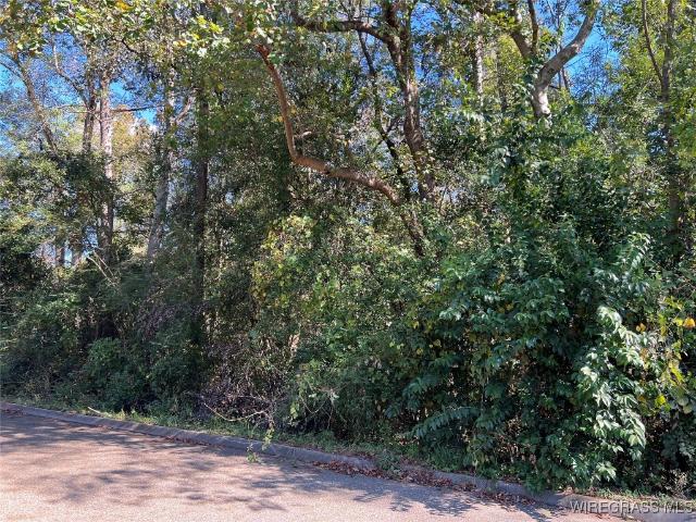 Land for sale in Andalusia, Alabama
