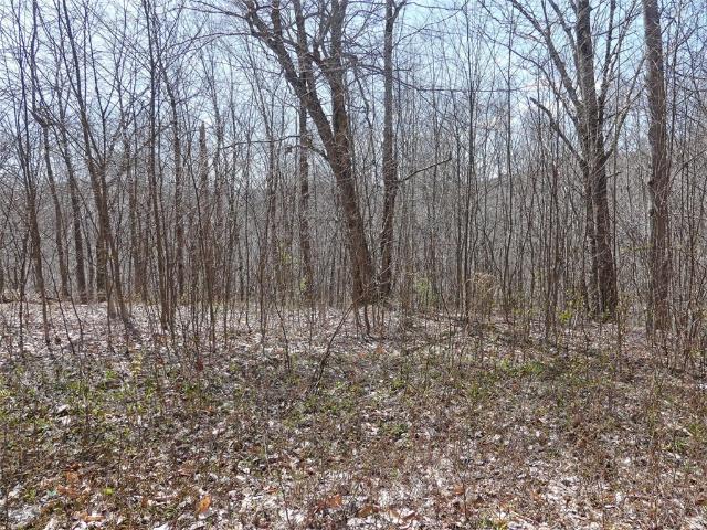 Land for sale in Andes, New York