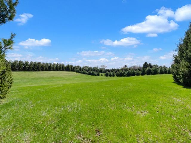 Land for sale in Lynn Center, Illinois