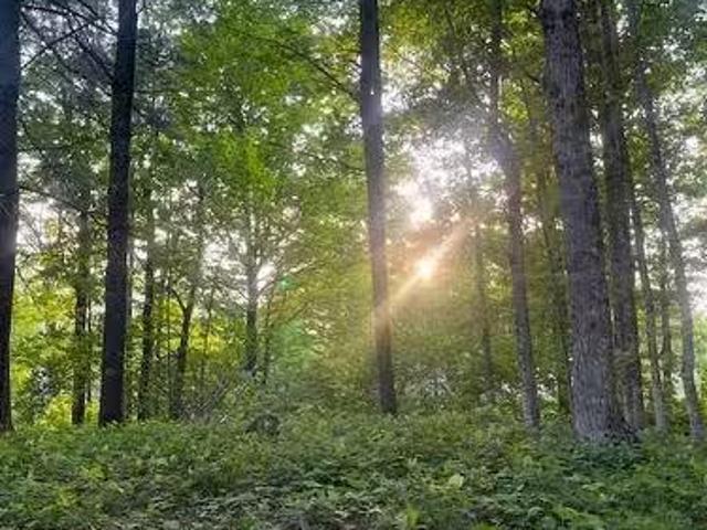 House for sale in Napadogan, New Brunswick