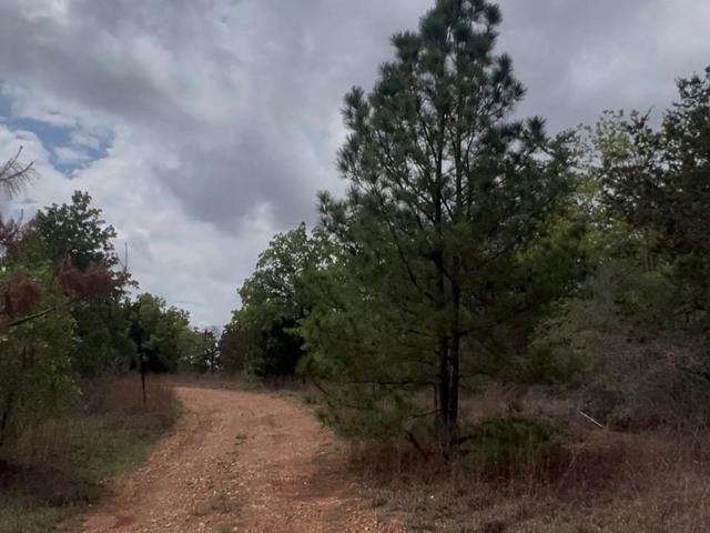 Land for sale in Paige, Texas