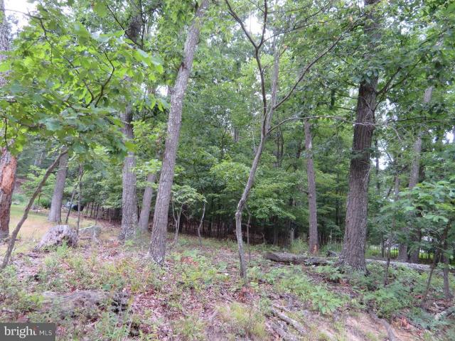 Land for sale in Hedgesville, Berkeley County
