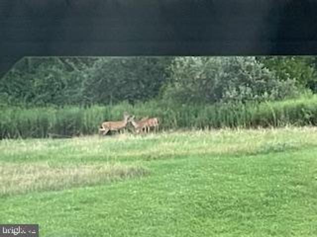 Land for sale in Pennsylvania