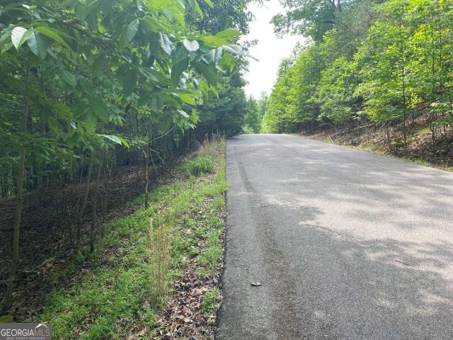 Land for sale in Blairsville, Georgia