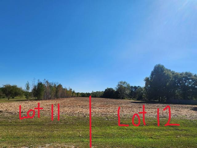 Land for sale in Midway, Lawrence County