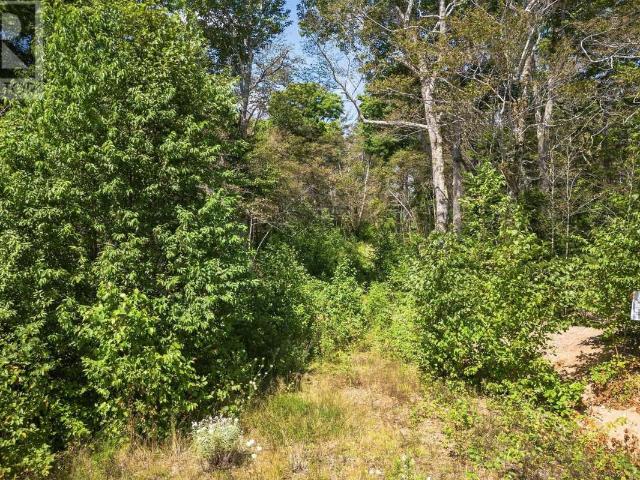 Land for sale in Malagawatch, Nova Scotia