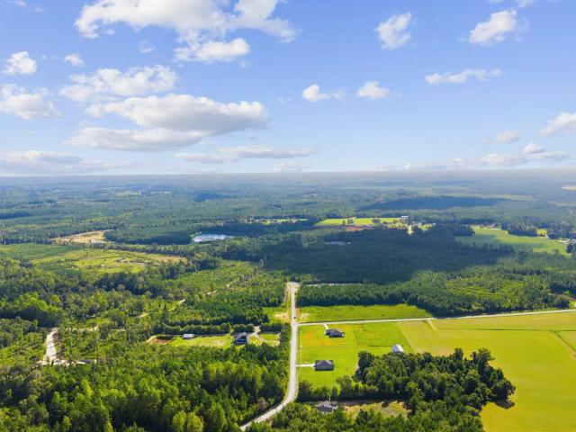 Land for sale in Galivants Ferry, Horry County