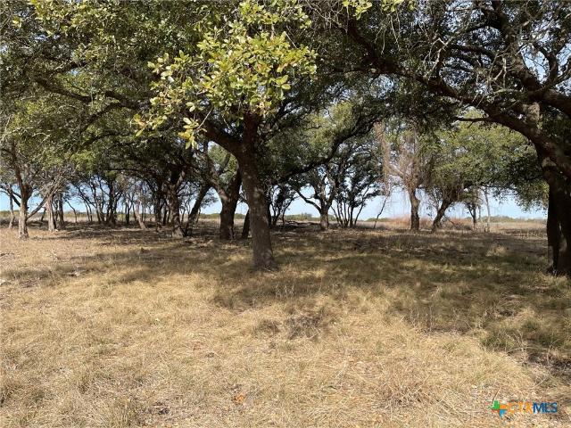 Land for sale in Gatesville, Texas