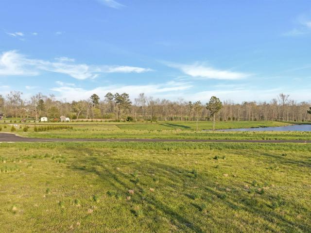 Land for sale in Rainsville, Alabama