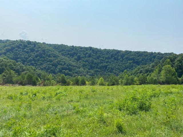 Land for sale in Tennessee