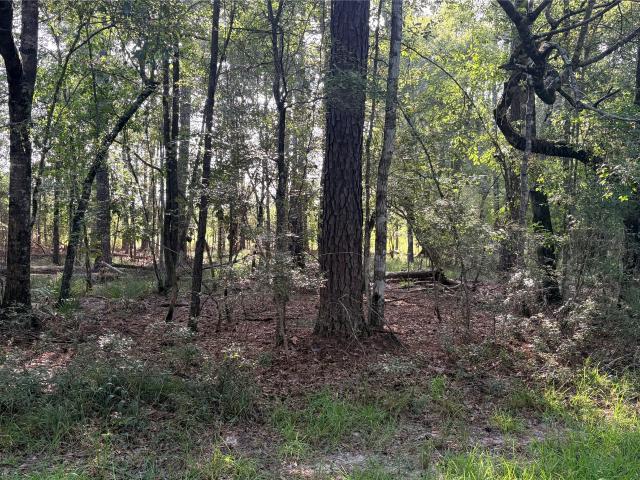 Land for sale in Texas