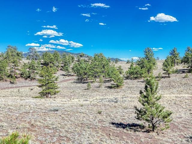 Land for sale in Hartsel, Park County
