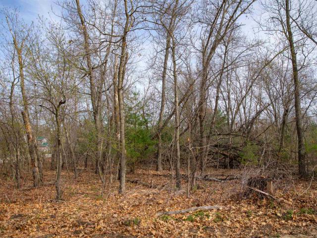 Land for sale in Packwaukee, Wisconsin