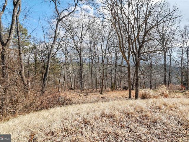Land for sale in Virginia