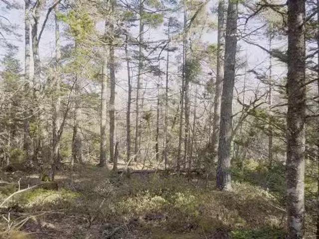 House for sale in Lower Ohio, Nova Scotia