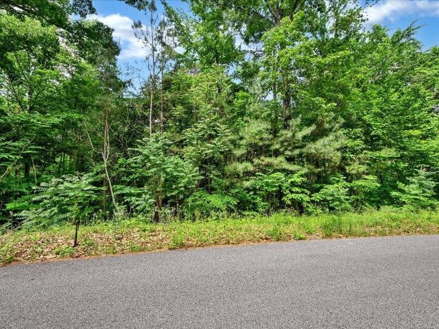 Land for sale in Falkville, Alabama