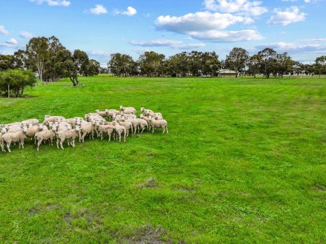 Land for sale in Mundulla, Tatiara District Council