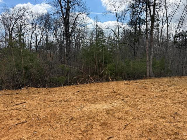 Land for sale in Monticello, Kentucky