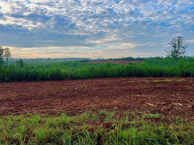 Land for sale in Pendleton, Anderson County