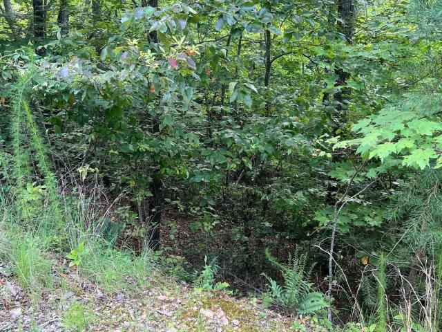 Land for sale in Brasstown, North Carolina