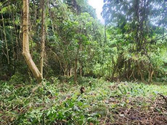 Land for sale