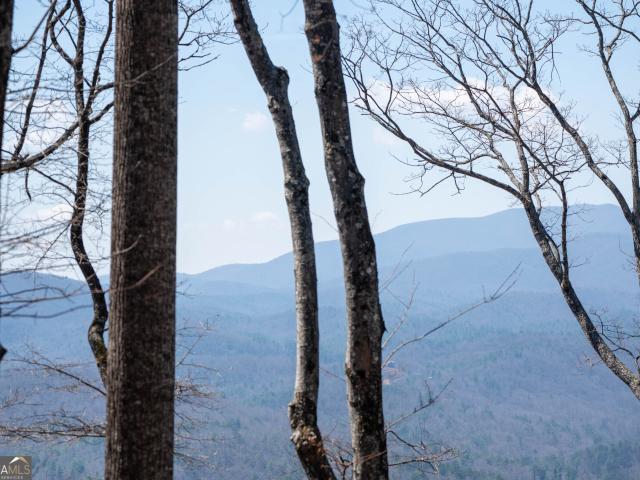 Land for sale in Tiger, Georgia