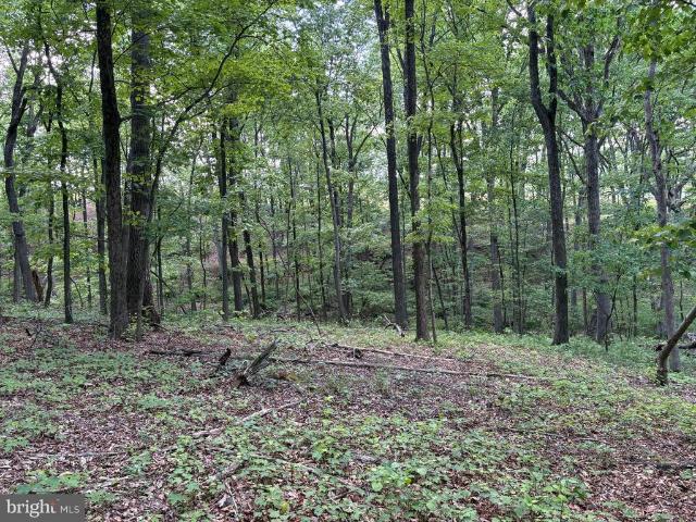 Land for sale in West Virginia