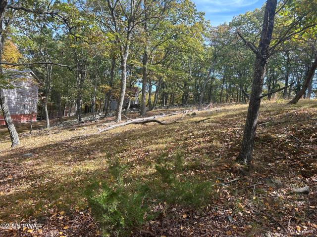 Land for sale in Delaware Township, Pike County