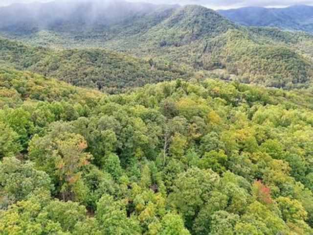Land for sale in Hayesville, North Carolina