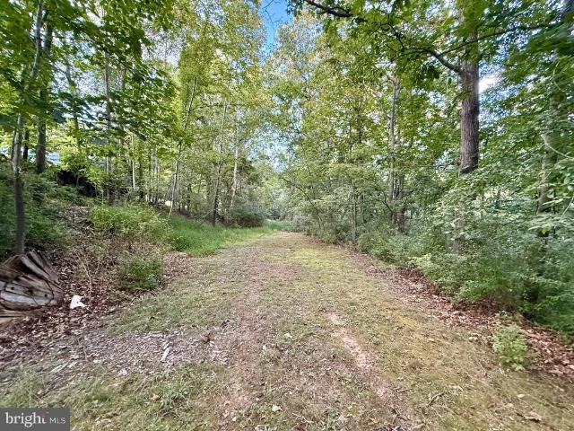 Land for sale in Franklin, Pendleton County