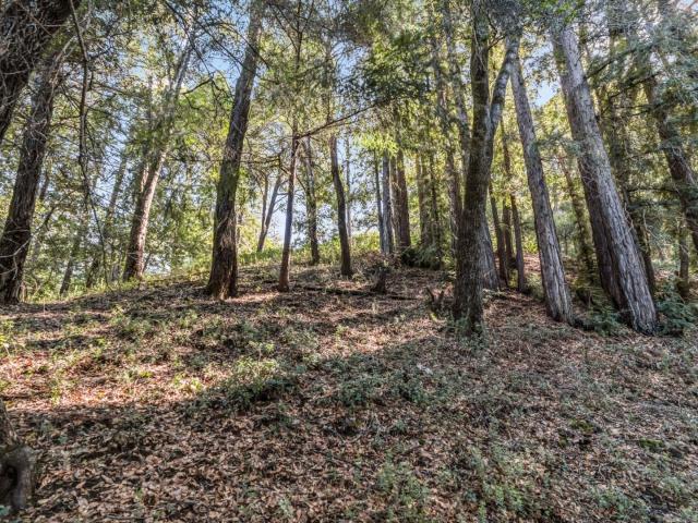 Land for sale in Felton