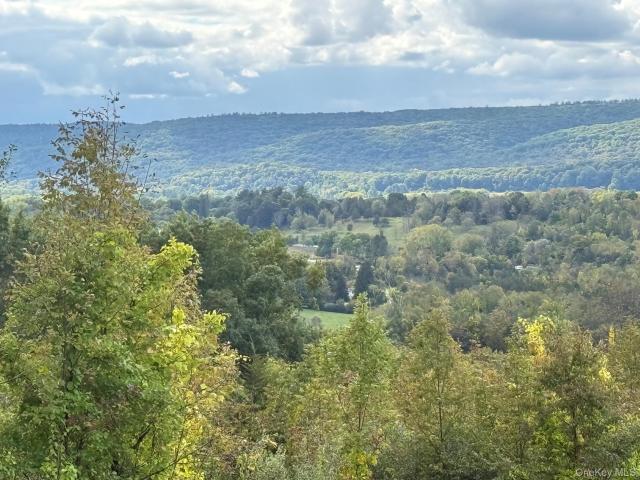 Land for sale in Leedsville, Town of Amenia