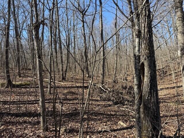 Land for sale in Tennessee