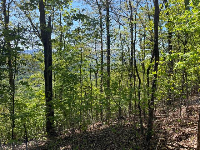 Land for sale in Hayesville, North Carolina
