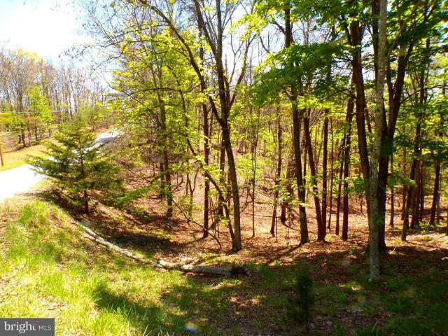 Land for sale in Paw Paw, West Virginia