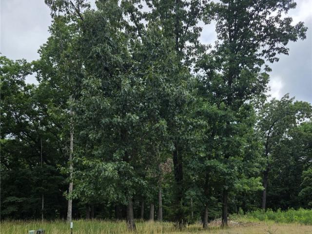 Land for sale in Lake Ozark, Missouri