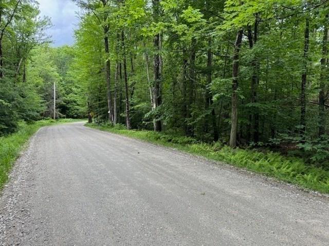 Land for sale in Rowe, Massachusetts