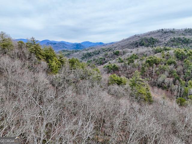Land for sale in Georgia