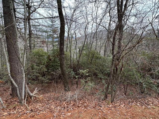 Land for sale in Clayton, Georgia