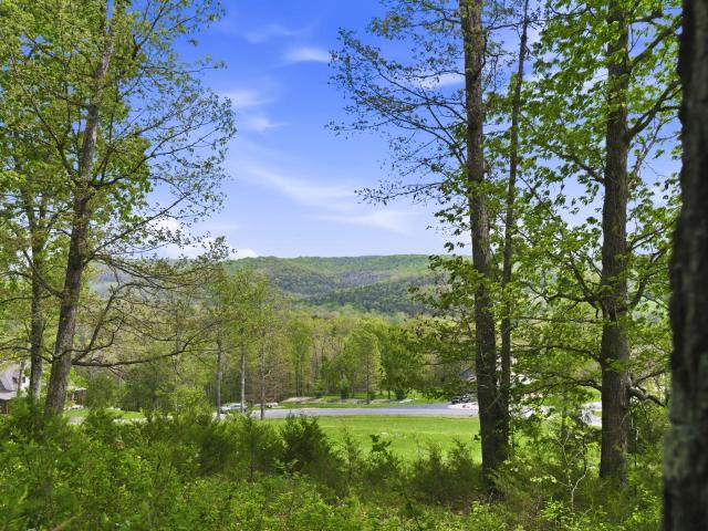 Land for sale in Chestnutridge, Missouri