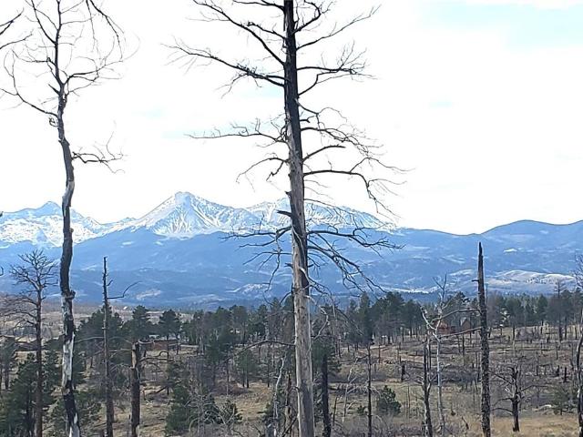 Land for sale in Fort Garland, Colorado